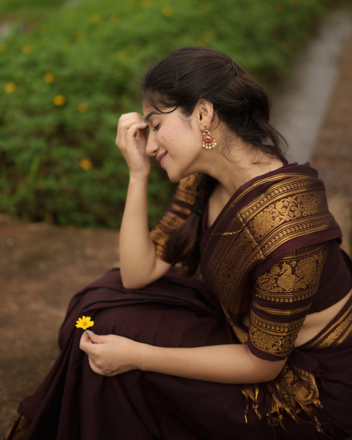 Festival Wear Dark Maroonish Brown Color Cotton Silk Saree