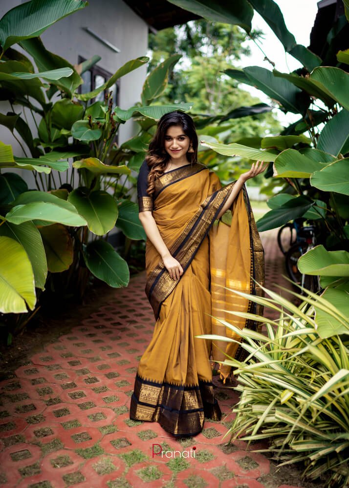 Party Wear Brown Color Cotton Silk Saree