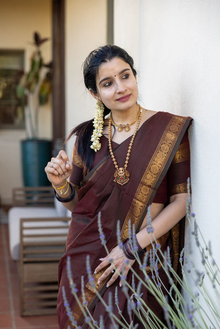 Wedding Wear Brown Color Cotton Silk Saree