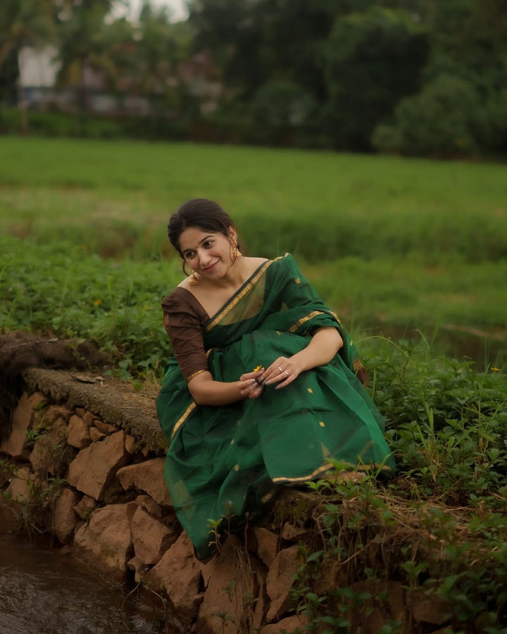 Wedding Wear Dark Green Coffee Brown Color Maheshwari Silk Saree